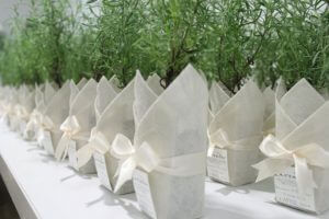 CCREATION_PG_PlantBomboniere_Lavender-Plant-dressed-with-ivory-wrapping-ribbon-705x470