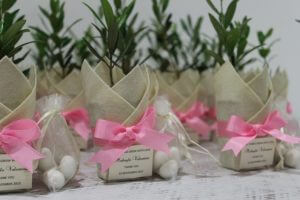 CCREATION_PG_PlantBomboniere_Olive-Plants-with-Sugar-Almond-Sachets-705x470